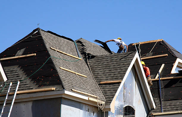 Best Metal Roofing Contractor  in Laporte, CO