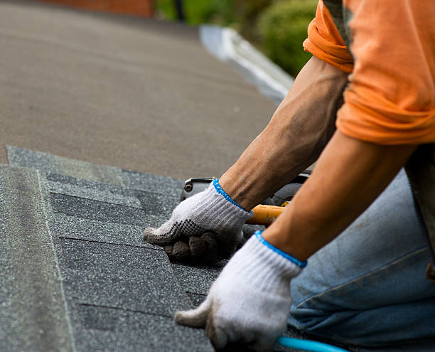 Best New Roof Installation  in Laporte, CO